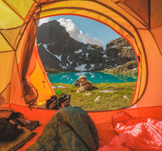 10 Mistakes to Avoid When Wild Camping for a Safe Adventure