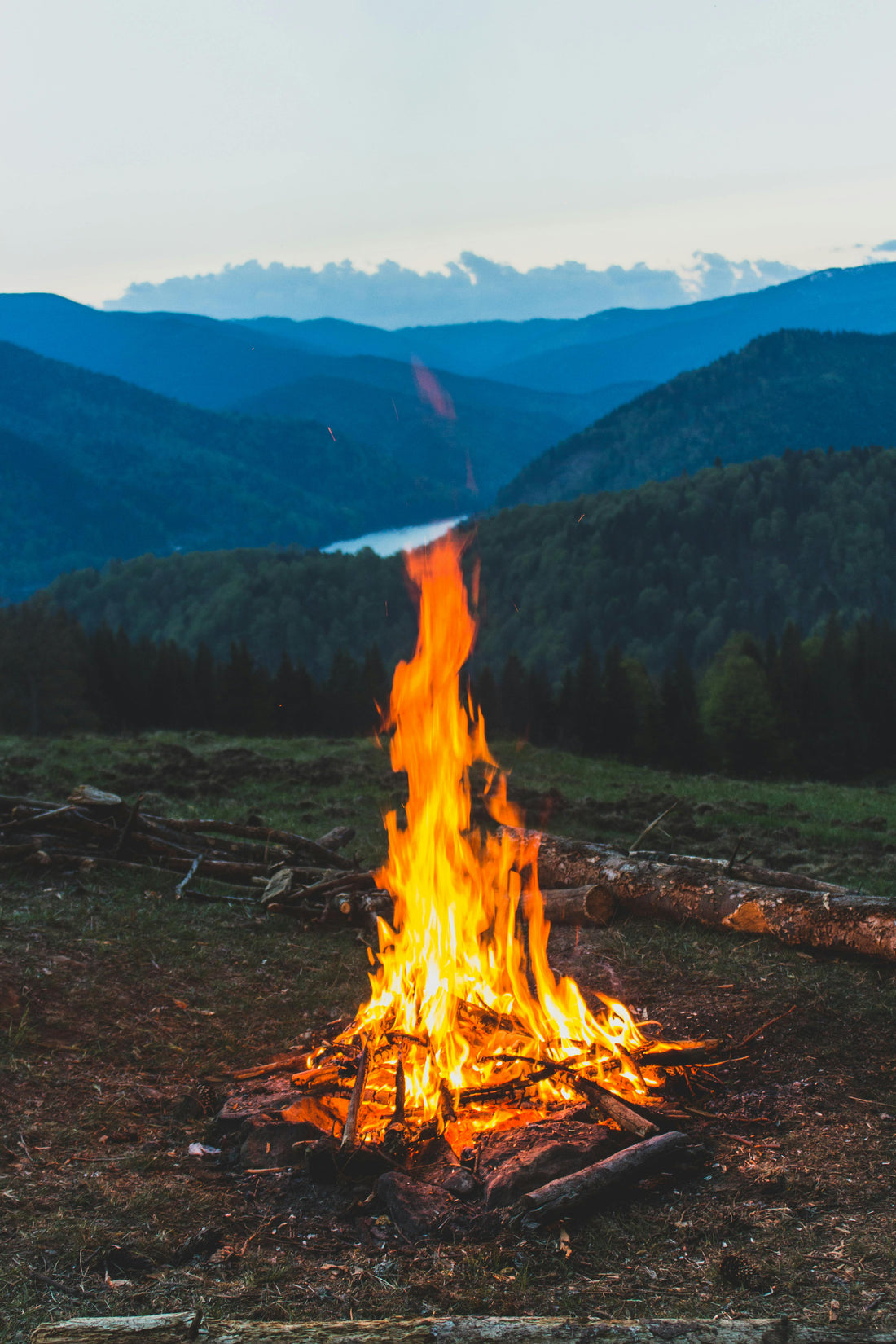 Tips for Starting a Campfire in Any Condition 🔥⛺